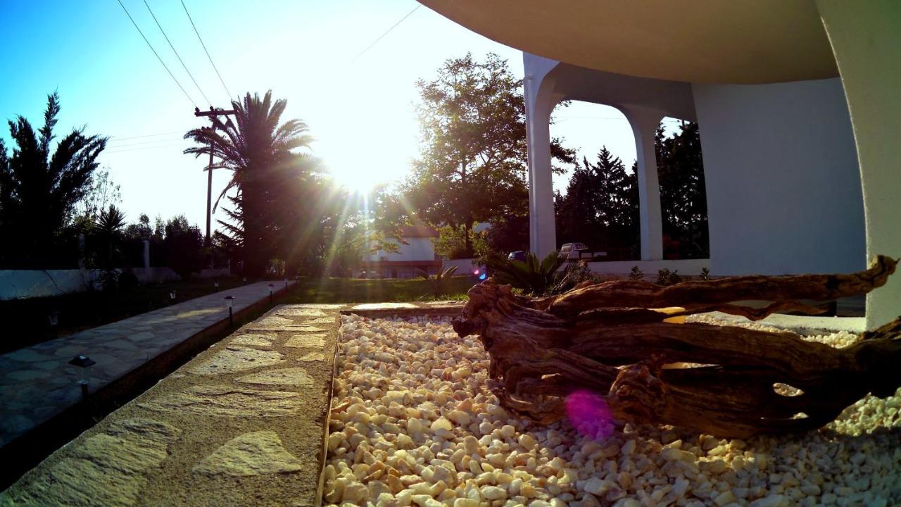 פסאקודיה Simplicity At Iris Accommodation מראה חיצוני תמונה