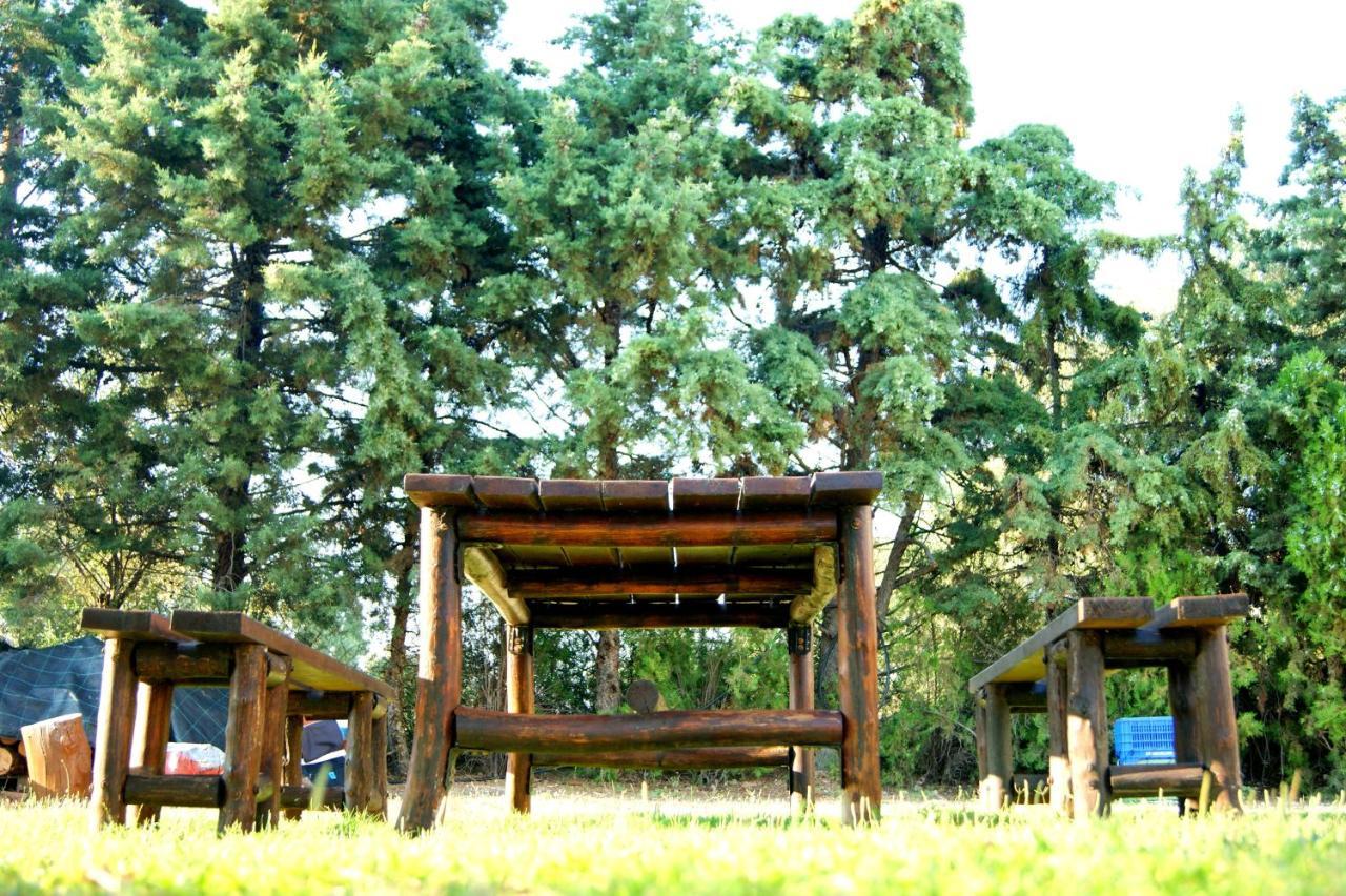 פסאקודיה Simplicity At Iris Accommodation מראה חיצוני תמונה