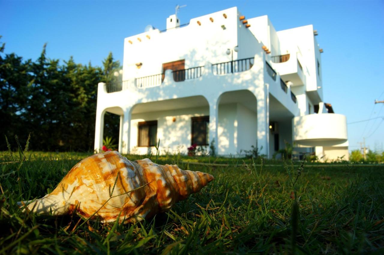 פסאקודיה Simplicity At Iris Accommodation מראה חיצוני תמונה