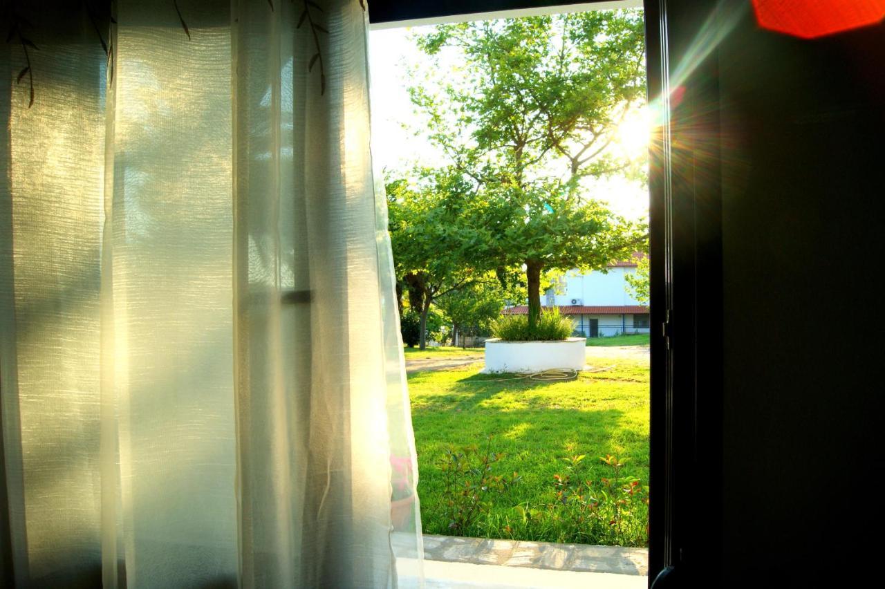 פסאקודיה Simplicity At Iris Accommodation מראה חיצוני תמונה