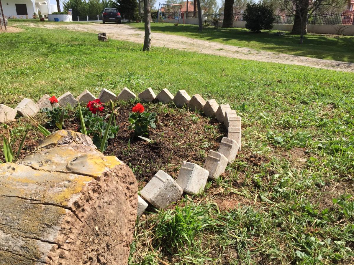 פסאקודיה Simplicity At Iris Accommodation מראה חיצוני תמונה