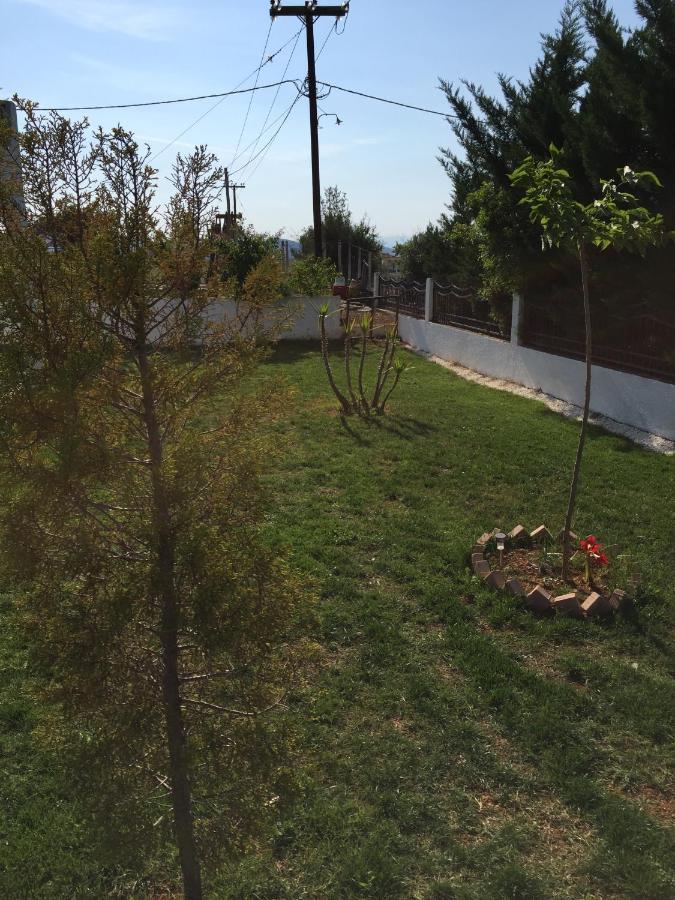 פסאקודיה Simplicity At Iris Accommodation מראה חיצוני תמונה