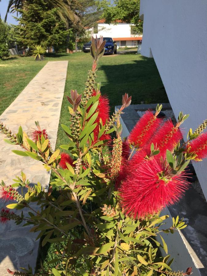 פסאקודיה Simplicity At Iris Accommodation מראה חיצוני תמונה