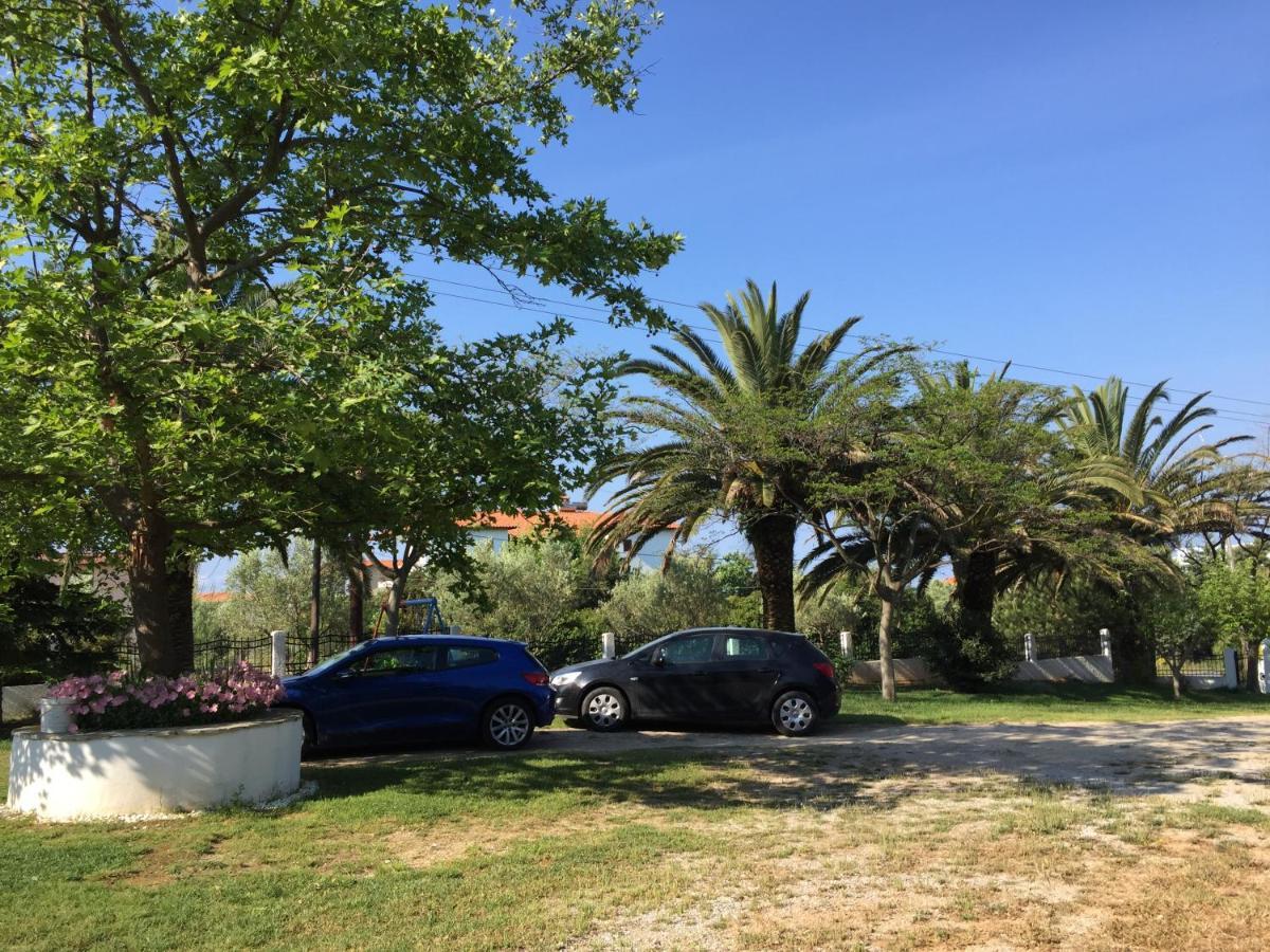 פסאקודיה Simplicity At Iris Accommodation מראה חיצוני תמונה